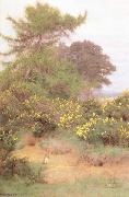 George Marks At the Edge of Shere Heath (mk46) oil painting artist